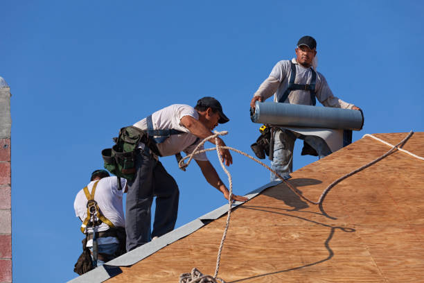 Best Local Roofing Companies  in Hokes Bluff, AL