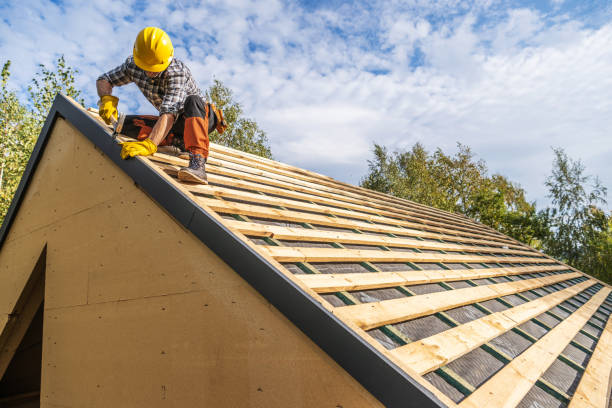 Best Roof Maintenance Services  in Hokes Bluff, AL
